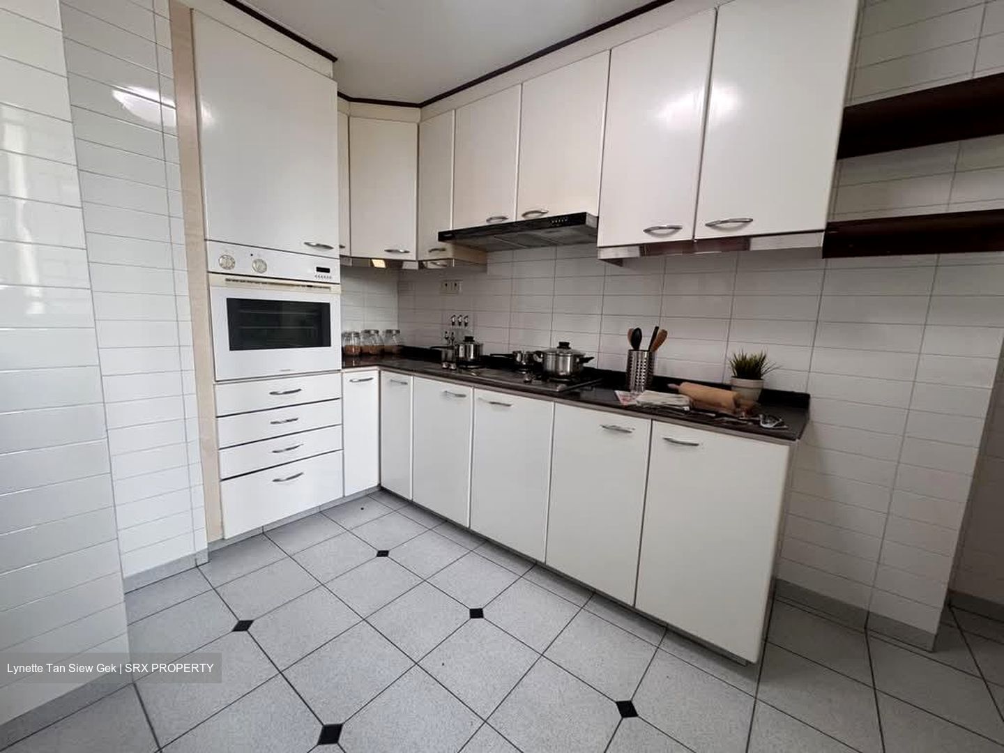Springdale Condominium (D21), Condominium #602191561
